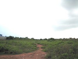 Photo by :: คุณ กนก