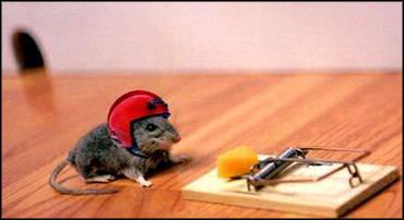 Photo by :: �س��ا