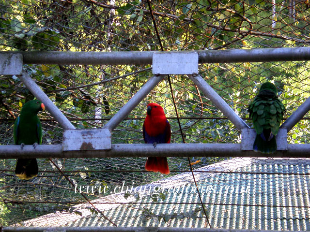 Photo by :: àªÕ§ÃÒÂâ¿¡ÑÊ