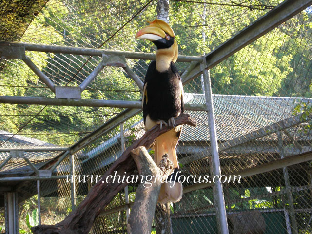 Photo by :: àªÕ§ÃÒÂâ¿¡ÑÊ