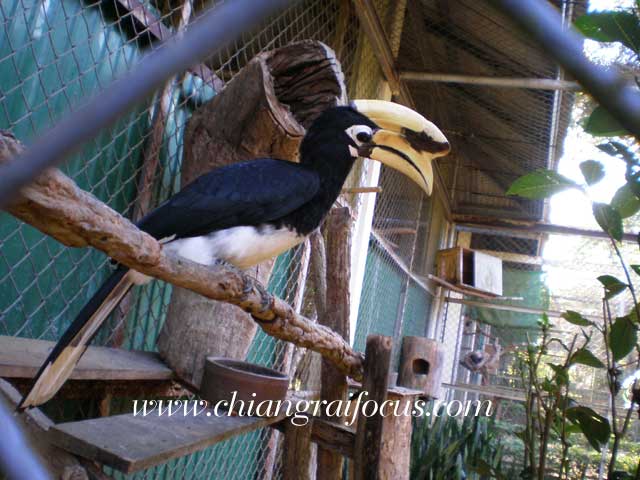 Photo by :: àªÕ§ÃÒÂâ¿¡ÑÊ