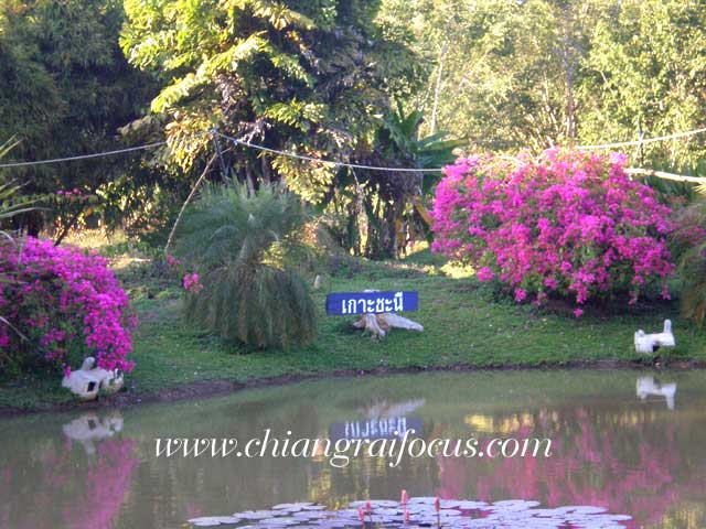 Photo by :: àªÕ§ÃÒÂâ¿¡ÑÊ