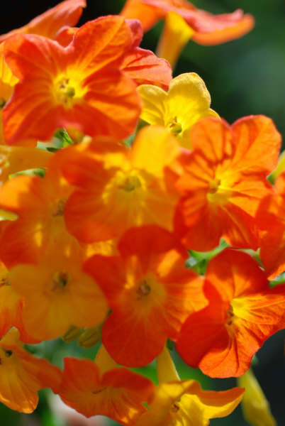 Photo by :: �����ó� 