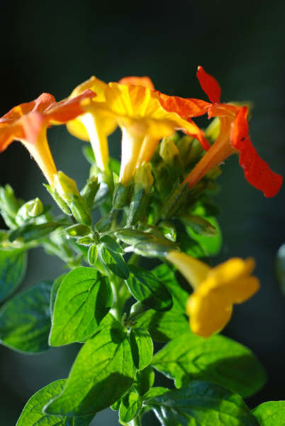 Photo by :: �����ó� 