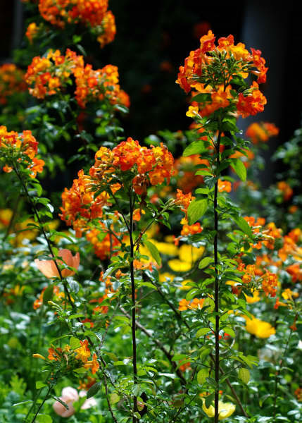 Photo by :: �����ó� 