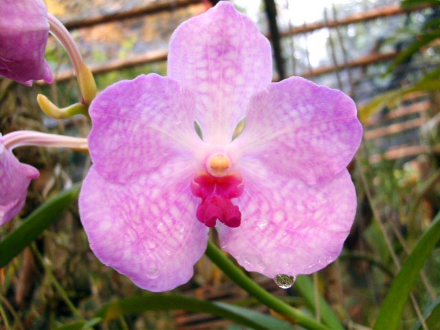 Photo by :: ����ǧ