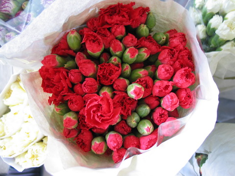 Photo by :: �����