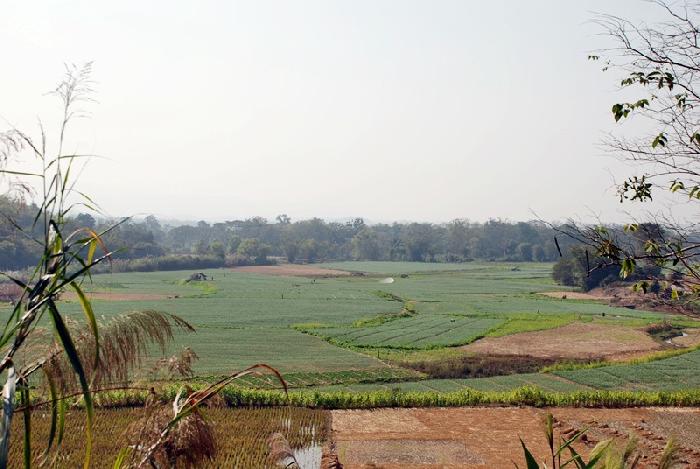 Photo by :: ����ǧ