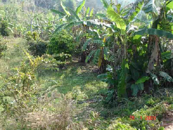 Photo by :: ���