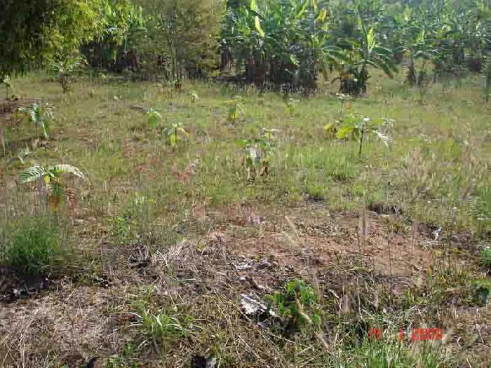 Photo by :: ���