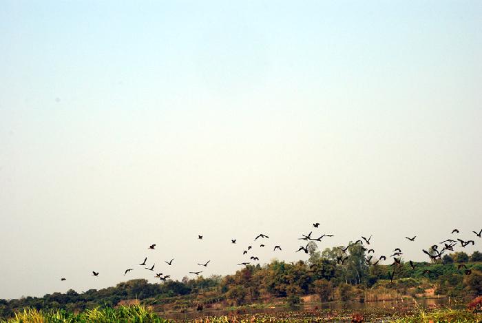 Photo by :: ����ǧ