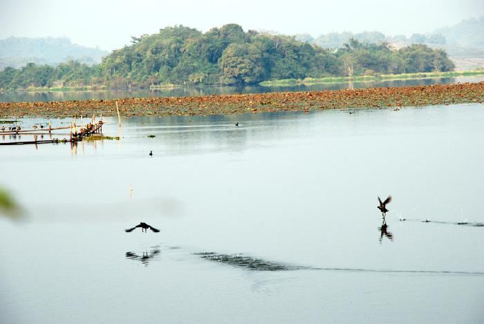 Photo by :: ����ǧ