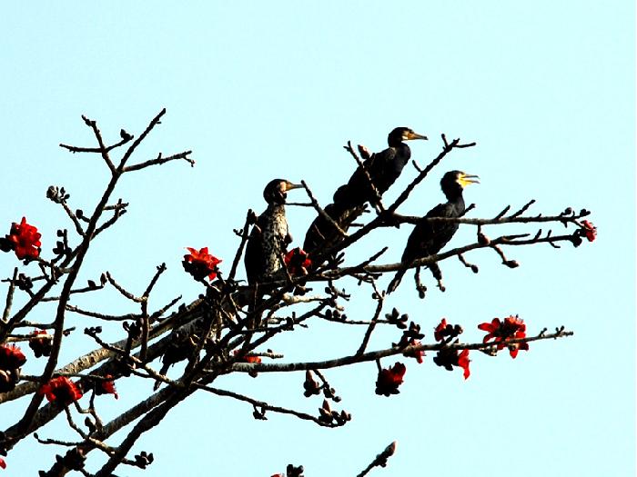 Photo by :: ����ǧ