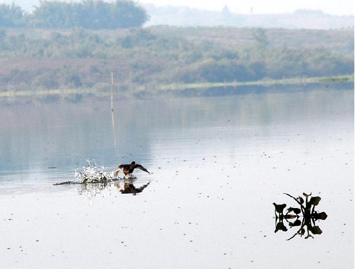 Photo by :: ����ǧ