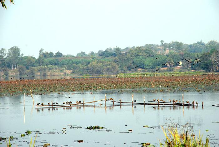 Photo by :: ����ǧ