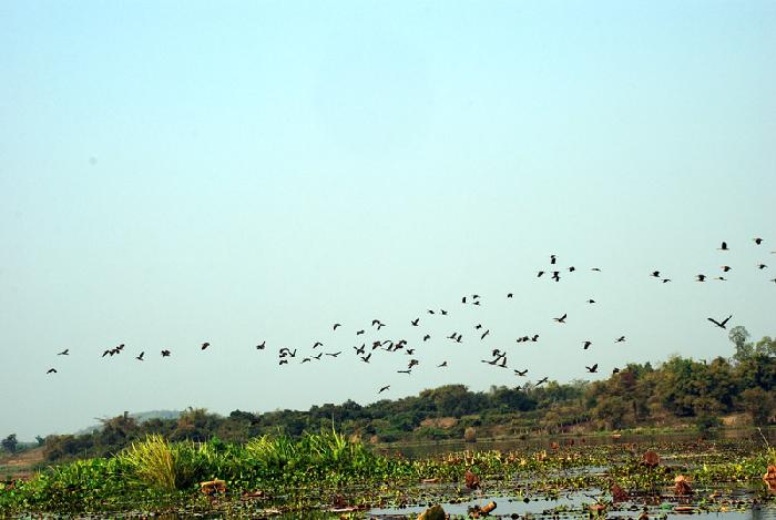 Photo by :: ����ǧ