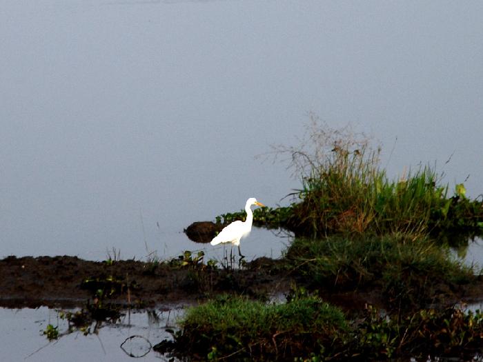 Photo by :: ����ǧ