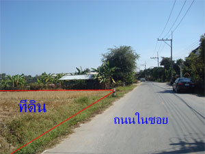 Photo by :: ʺ�µ�