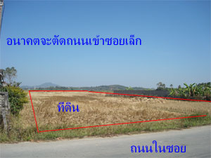 Photo by :: ʺ�µ�