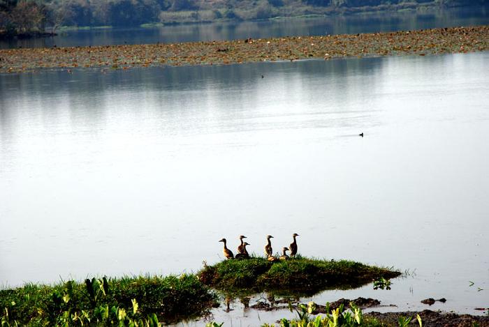 Photo by :: ����ǧ