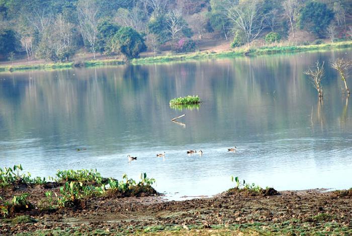 Photo by :: ����ǧ