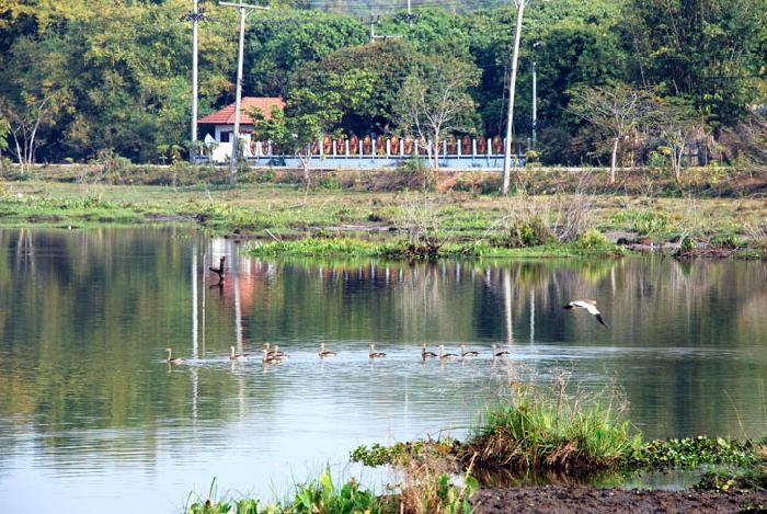 Photo by :: ����ǧ