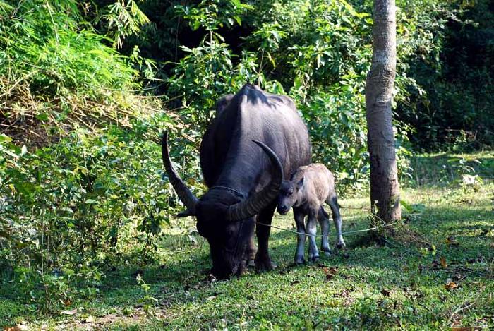 Photo by :: ����ǧ