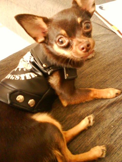 Photo by :: �Թ�ѧ