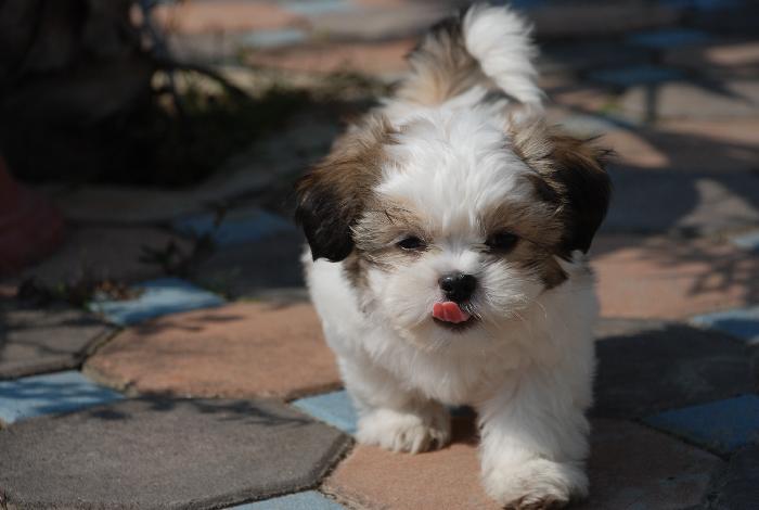 Photo by :: �ѷþ�