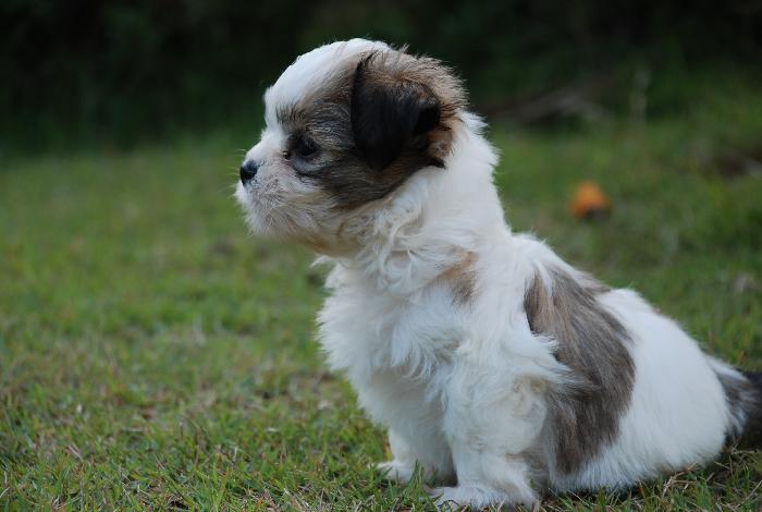 Photo by :: �ѷþ�