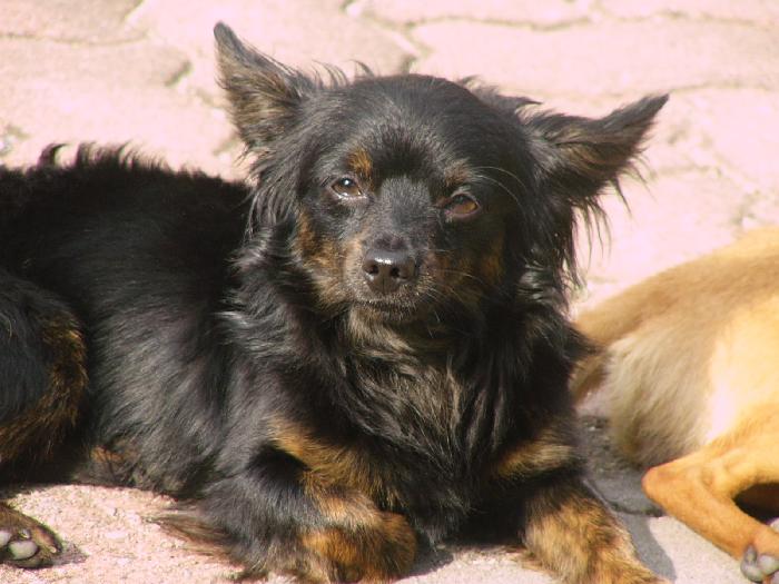 Photo by :: �ѷþ�