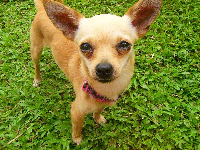 Photo by :: �ѷþ�