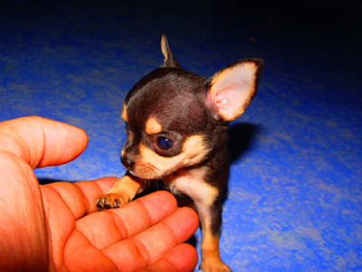 Photo by :: �硴��