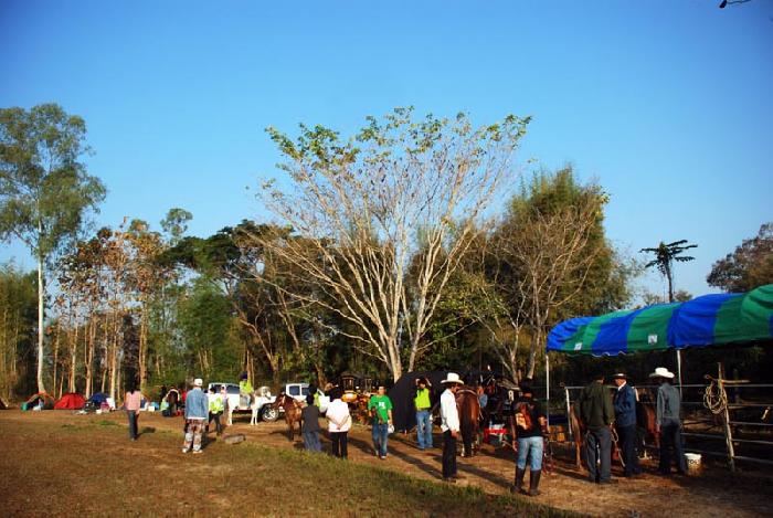 Photo by :: ลมหลวง