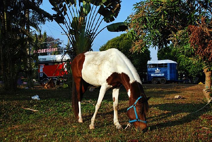 Photo by :: ลมหลวง