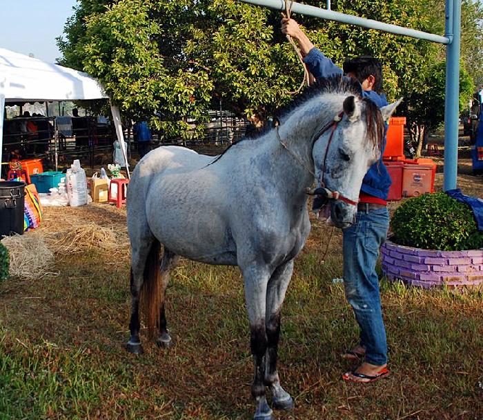 Photo by :: ลมหลวง