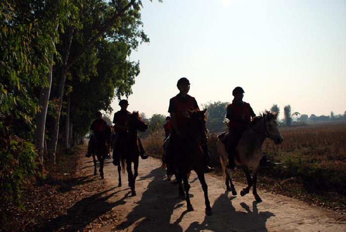 Photo by :: ลมหลวง