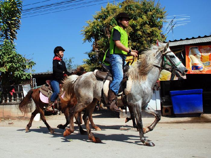 Photo by :: ลมหลวง
