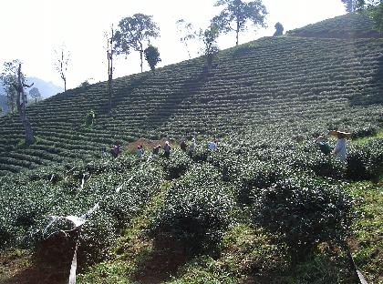 Photo by :: ����ǧ