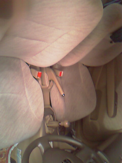 Photo by :: narakmil13