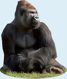 Photo by :: �س��ا