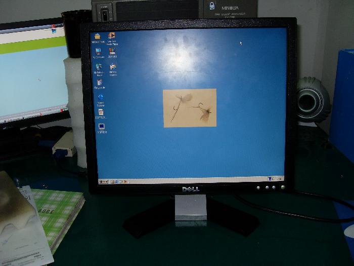 Photo by :: ����