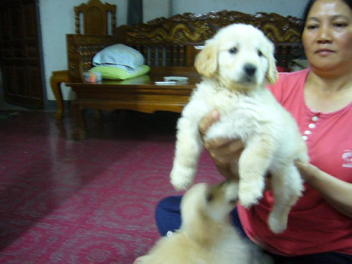 Photo by :: �Թ�ѧ