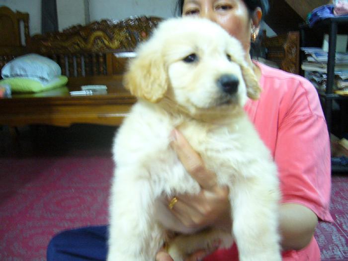 Photo by :: �Թ�ѧ