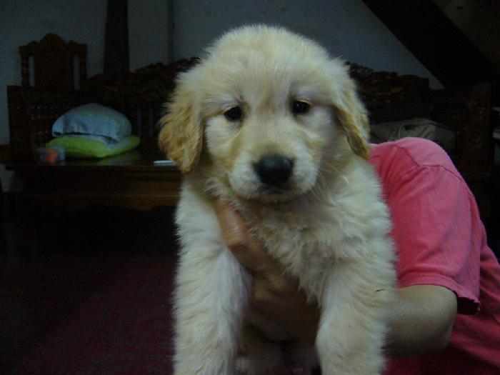 Photo by :: �Թ�ѧ