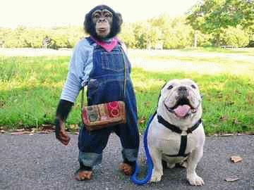 Photo by :: ��Ҫԡ���ʵ�ѡ��