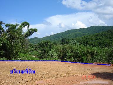 Photo by :: อินทร์แปลง