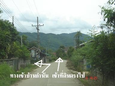 Photo by :: อินทร์แปลง