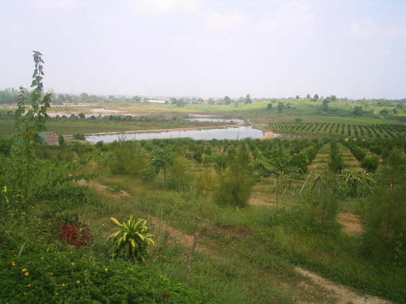 Photo by :: ภราดร