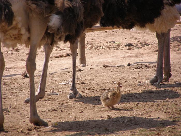 Photo by :: วาส